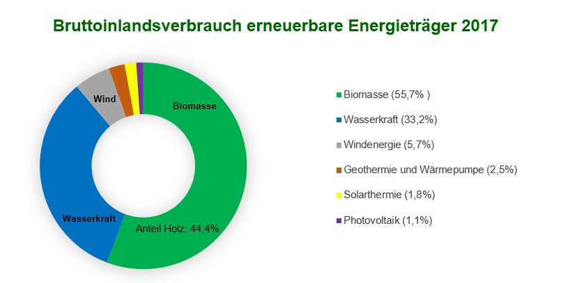 Bruttoinlandsverbrauch erneuerbare Energieträger 2017