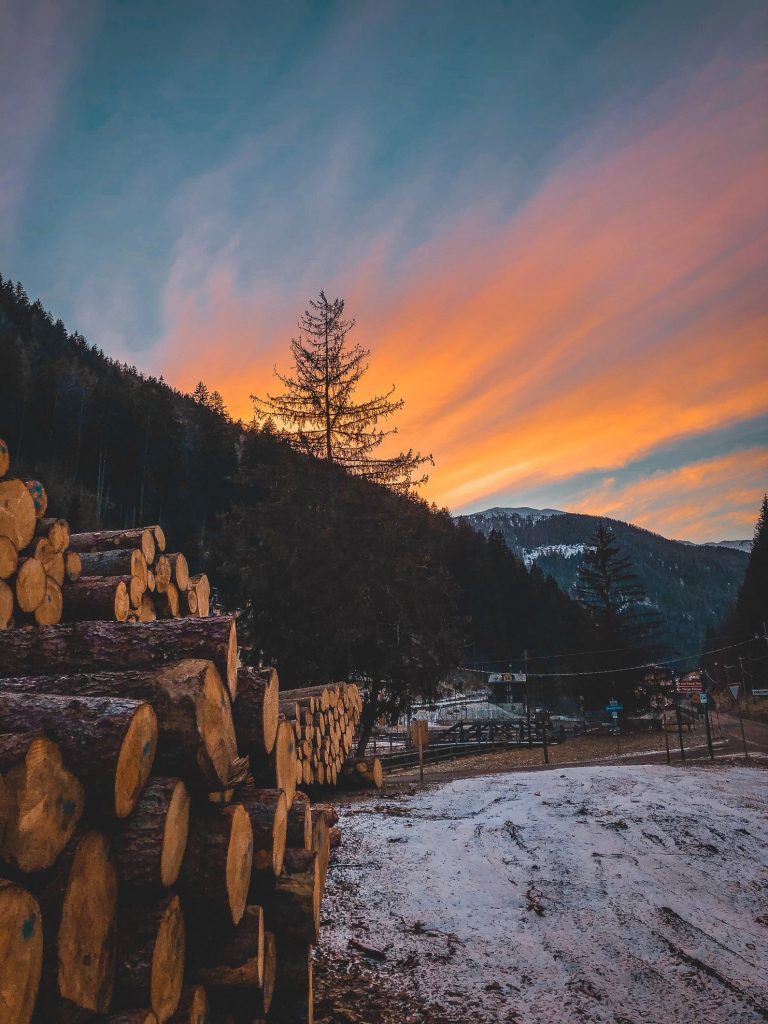 Ein Holzhaufen vor einem Baum mit einem orangen Himmel eingebettet im Beitrag Holz