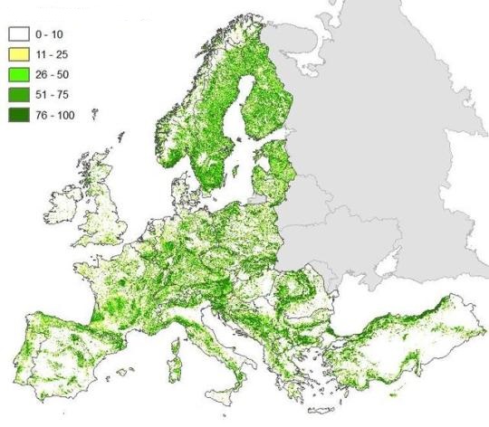 Karte die das Walkvorkommen in Europa zeigt