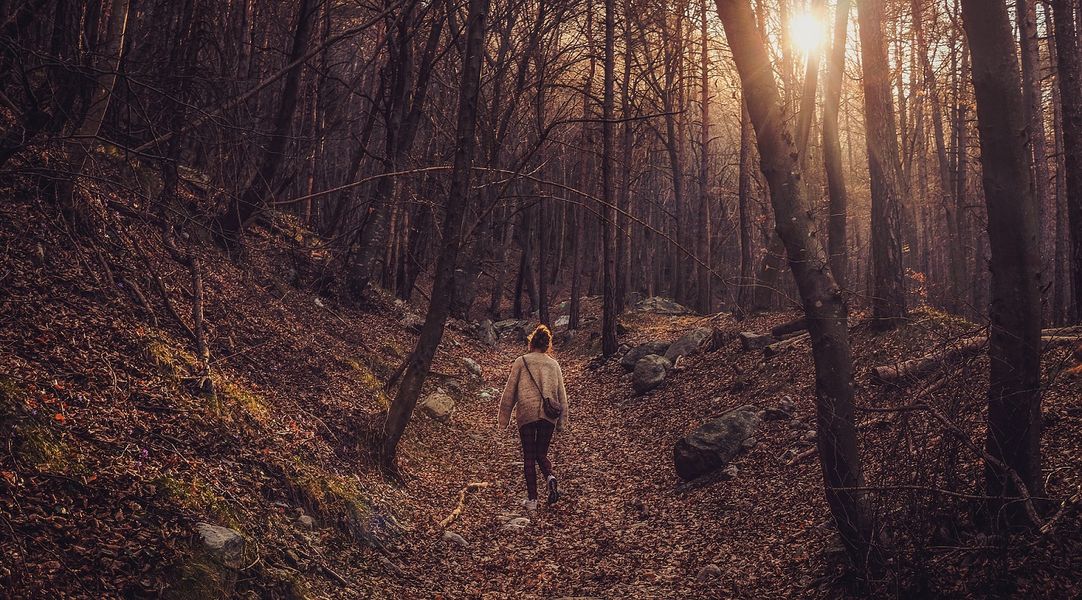 Wandern im Wald