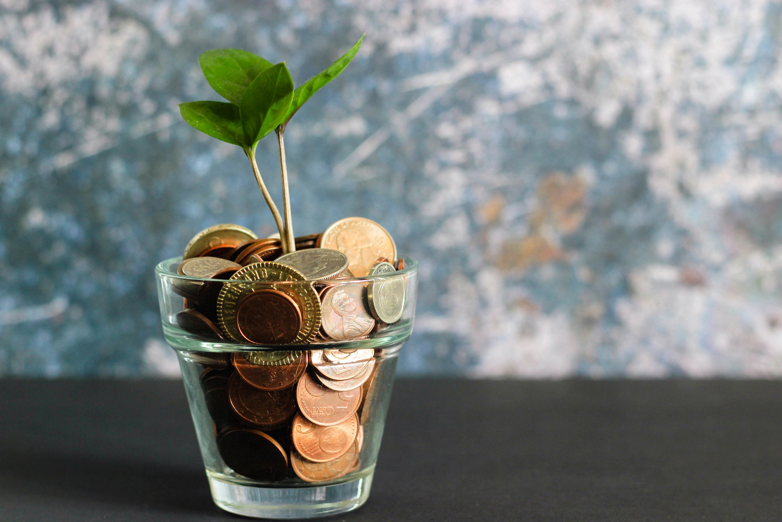 Geld in einer Vase mit einer Pflanze im Hackschnitzel Preis Beitrag