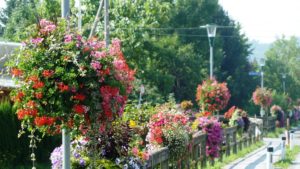 Brückeblumenschmuck Richtung Riegersdorf